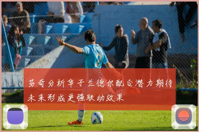 芬奇分析华子兰德尔配合潜力期待未来形成更强联动效果